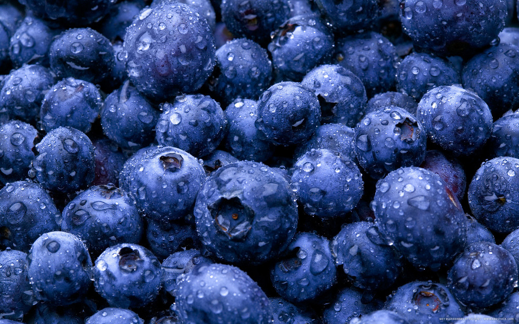 Wet Blueberries