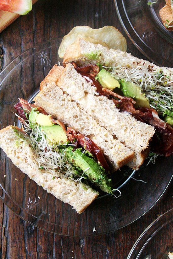 Bacon, Avocado, and Sprouts Sandwich