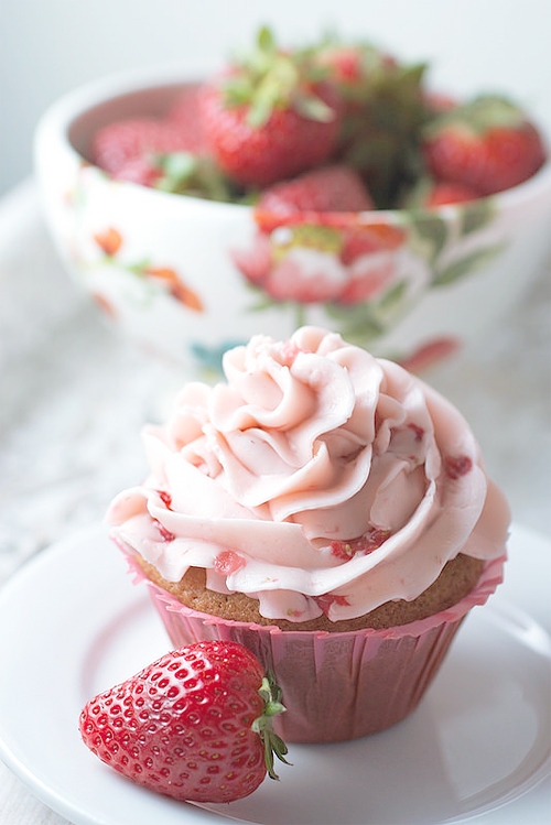 single cupcake (by kristiembry)