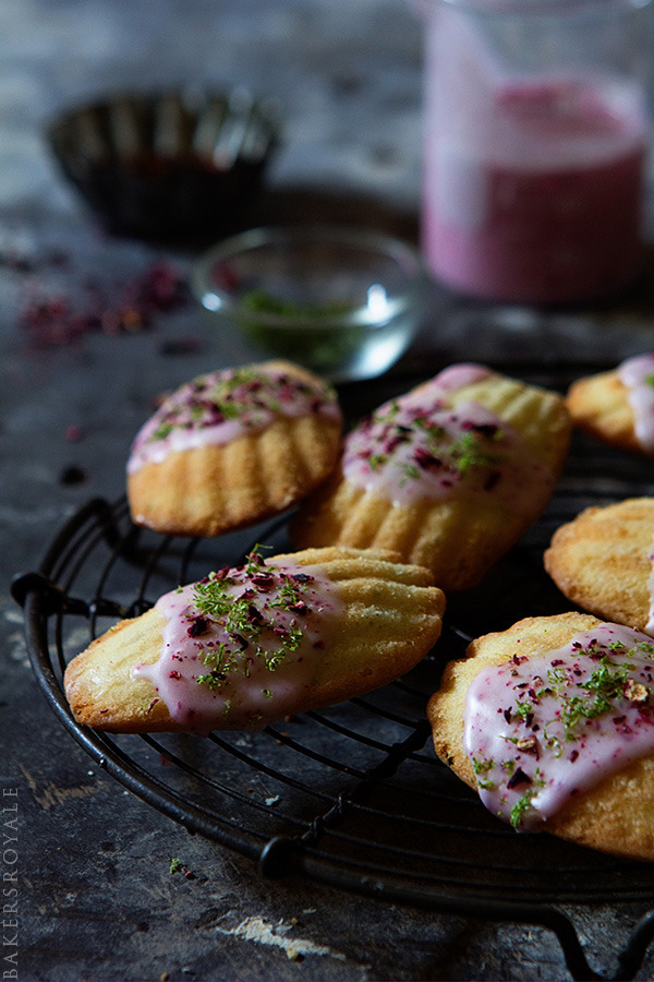 Lime-Hibiscus Madeleines